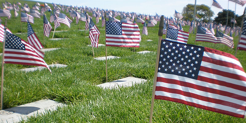 rows of graves marked with flags