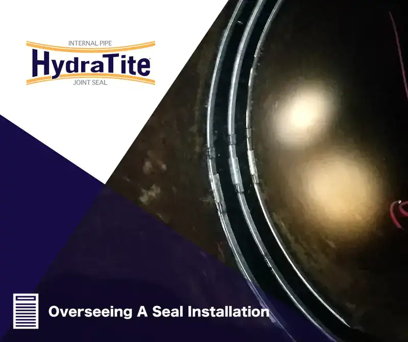 Overseeing A Seal Installation - HydraTech