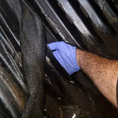 Previous repair that has come out of place