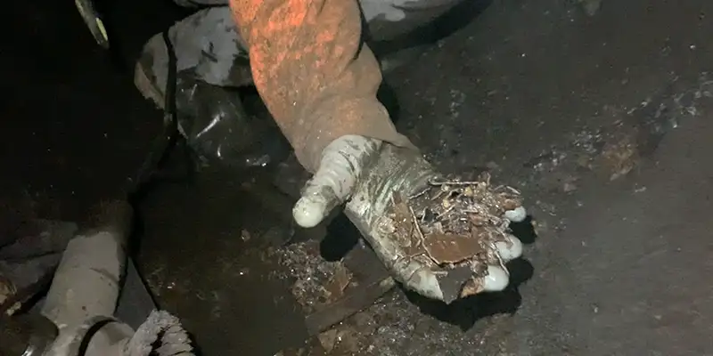 A handful of calcium build-up
