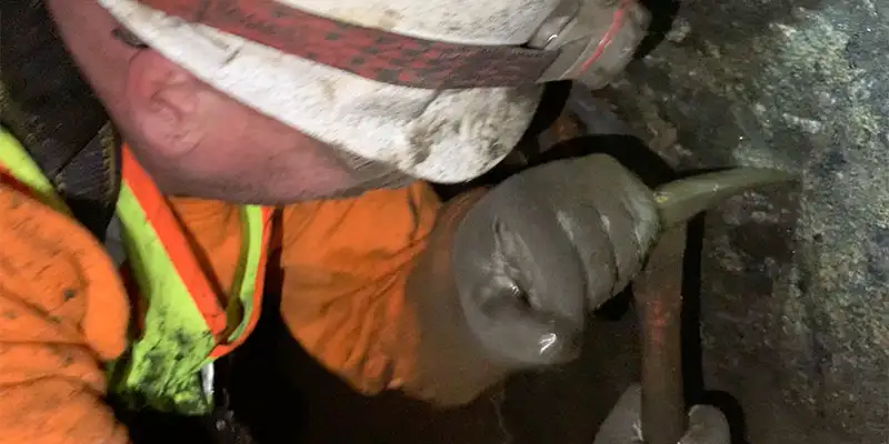 Scraping away calcium build-up