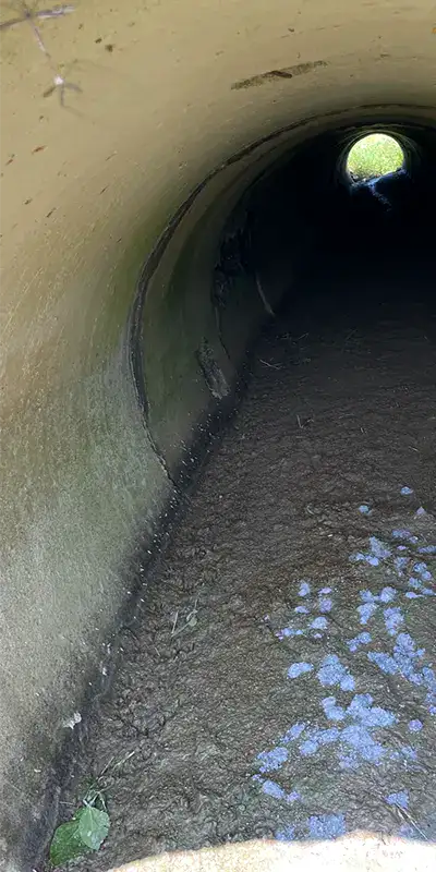 A stormwater culvert full of mud