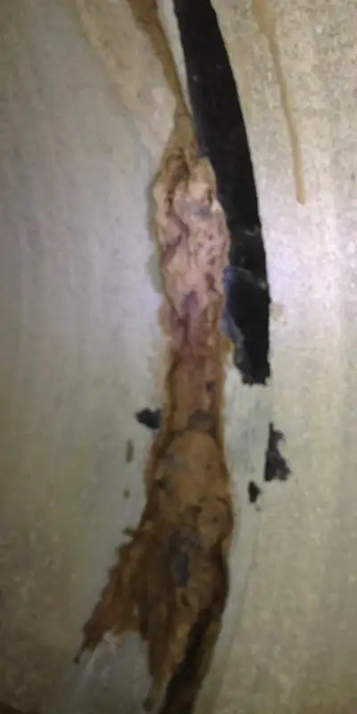 A separated joint inside a storm drain that has collected mineral build-up