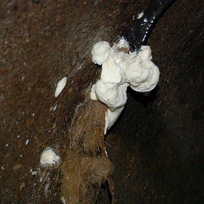 Foreign build-up at a joint in a pipe
