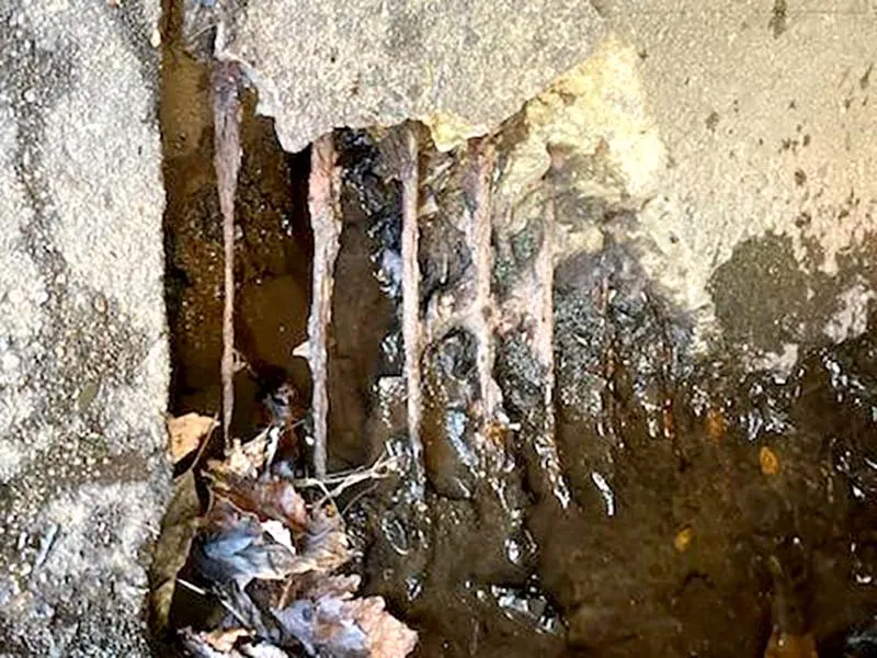 A portion of missing concrete near a joint in culvert