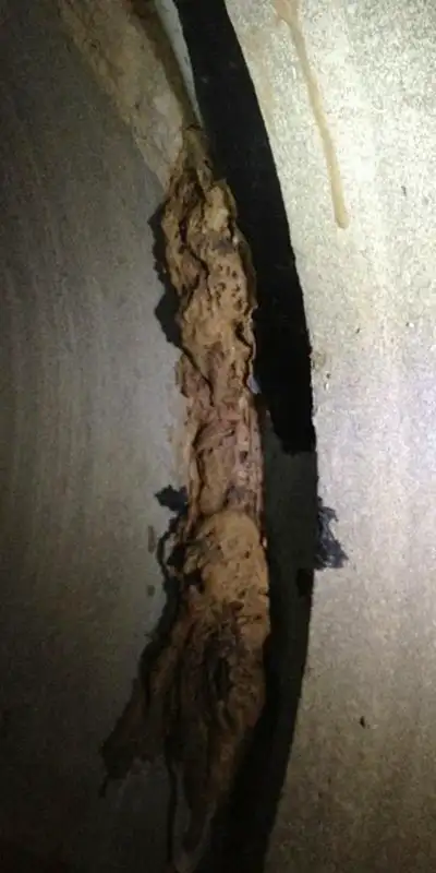 A separated joint inside a storm drain that has collected mineral build-up