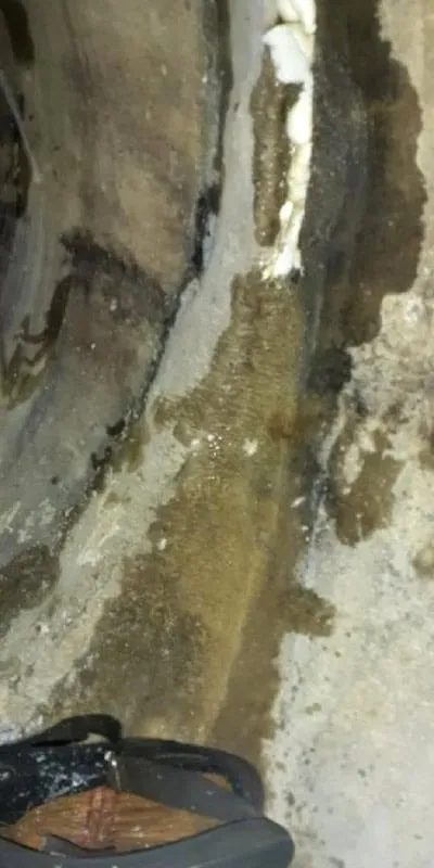 Internal view of a pipe joint that is leaking