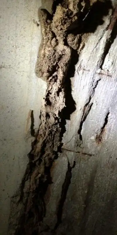 Spalling concrete and exposed rebar near a joint inside a pipe