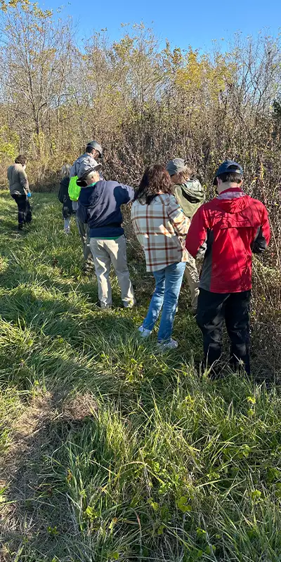 A group of people gathering seeds to spread wild plant growth