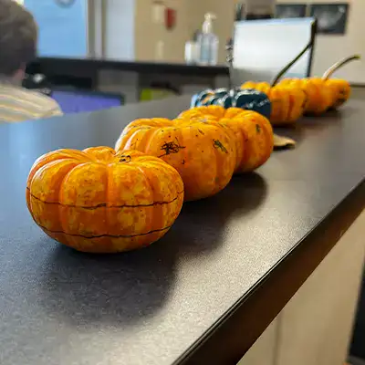 Several mini pumpkins with sharpie drawn on faces