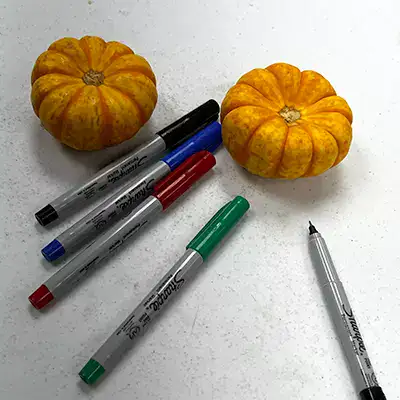 Several pens near a pair of small pumpkins