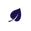 A simple leaf logo